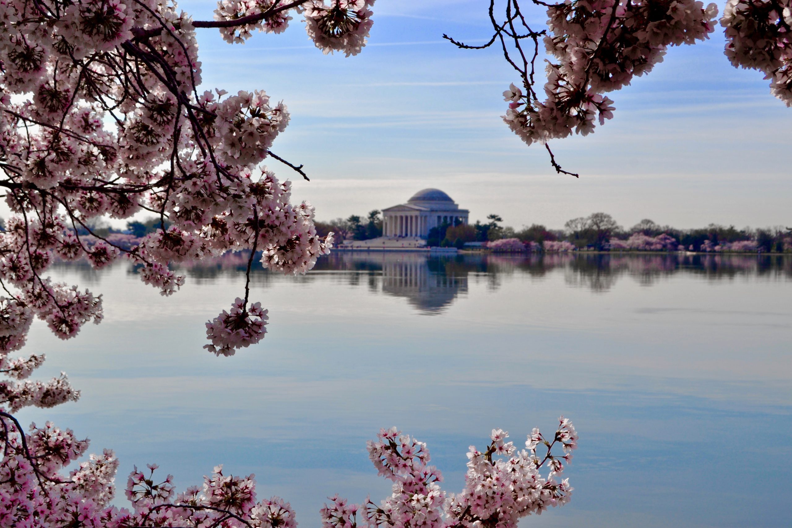 locations-cherry-blossom-vacations